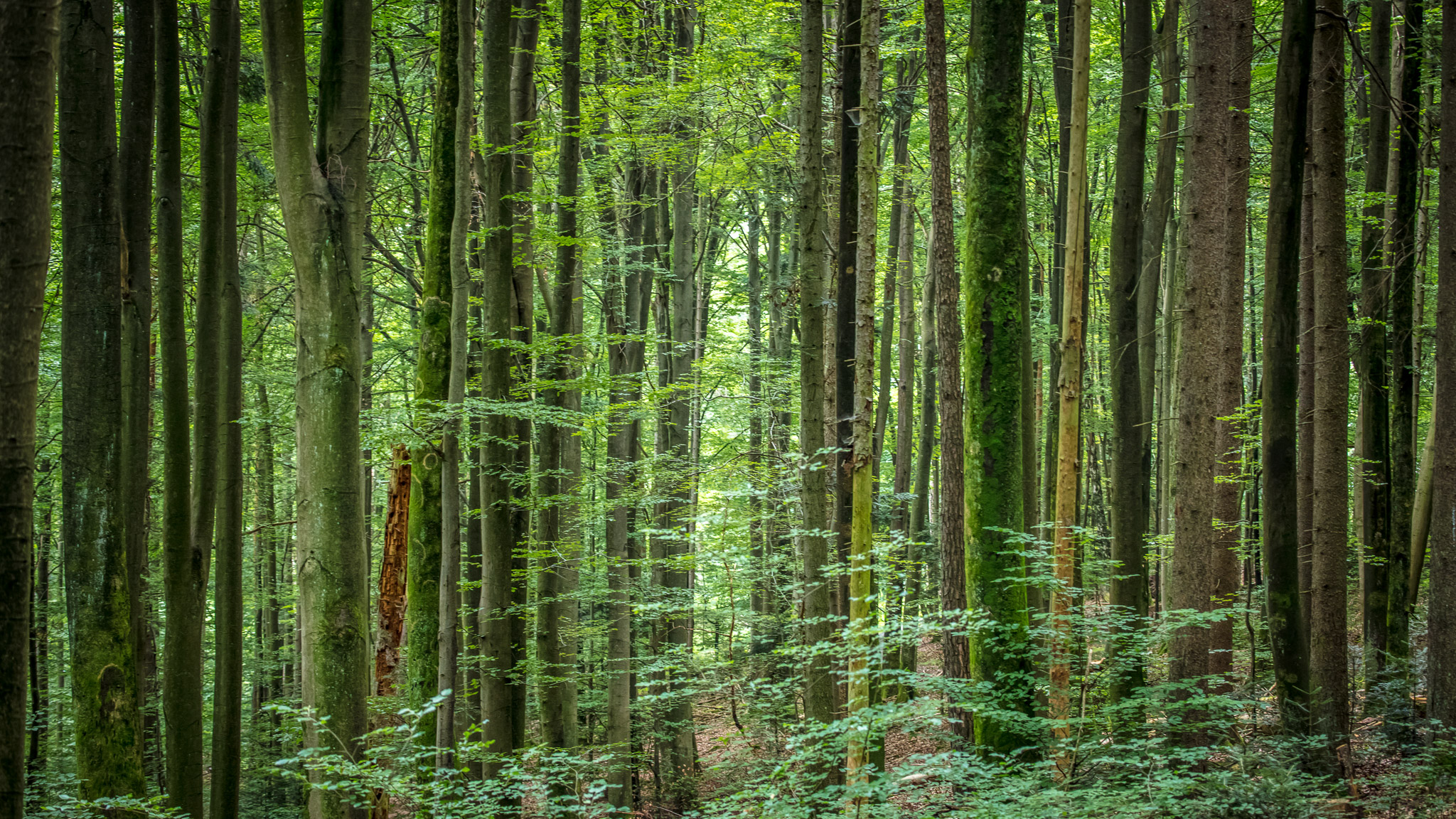 20210725103620 017917